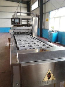 中國(guó)氣調(diào)包裝機(jī)排名前三品牌 貝爾全自動(dòng)盒式包裝機(jī)及其應(yīng)用